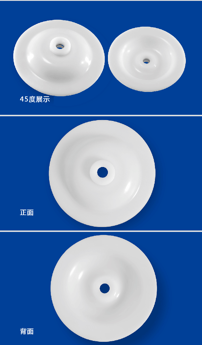 1-計(jì)量泵膜片2-產(chǎn)品詳情頁(yè)-模板_01米頓羅進(jìn)口PTFE四氟鐵氟龍計(jì)量泵膜片隔膜密封件